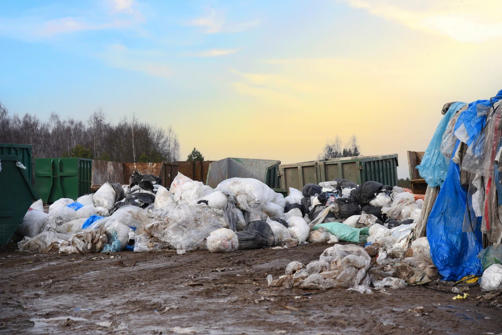 Municipal Solid Waste (MSW)