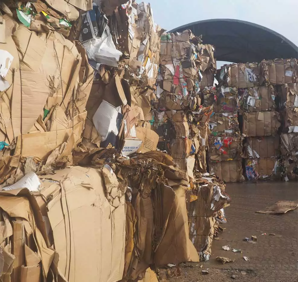 Benefits of Effective Cardboard Waste Management
