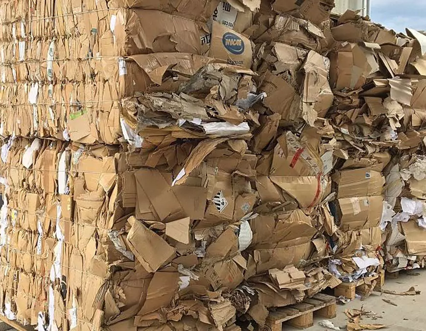 Cardboard Waste