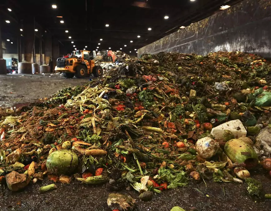 Food Waste